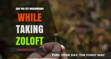 Mushrooms and Zoloft: Safe Combination or Risky Interaction?