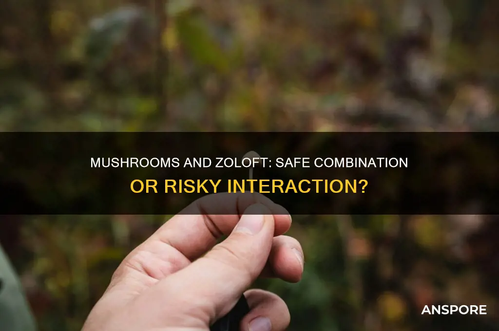 can you eat mushrooms while taking zoloft
