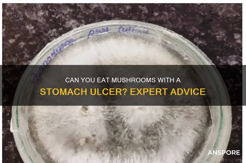 can you eat mushrooms with a stomach ulcer