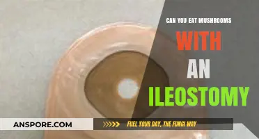 Ileostomy and Mushrooms: Safe Eating Tips for Your Diet