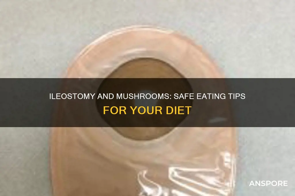 can you eat mushrooms with an ileostomy