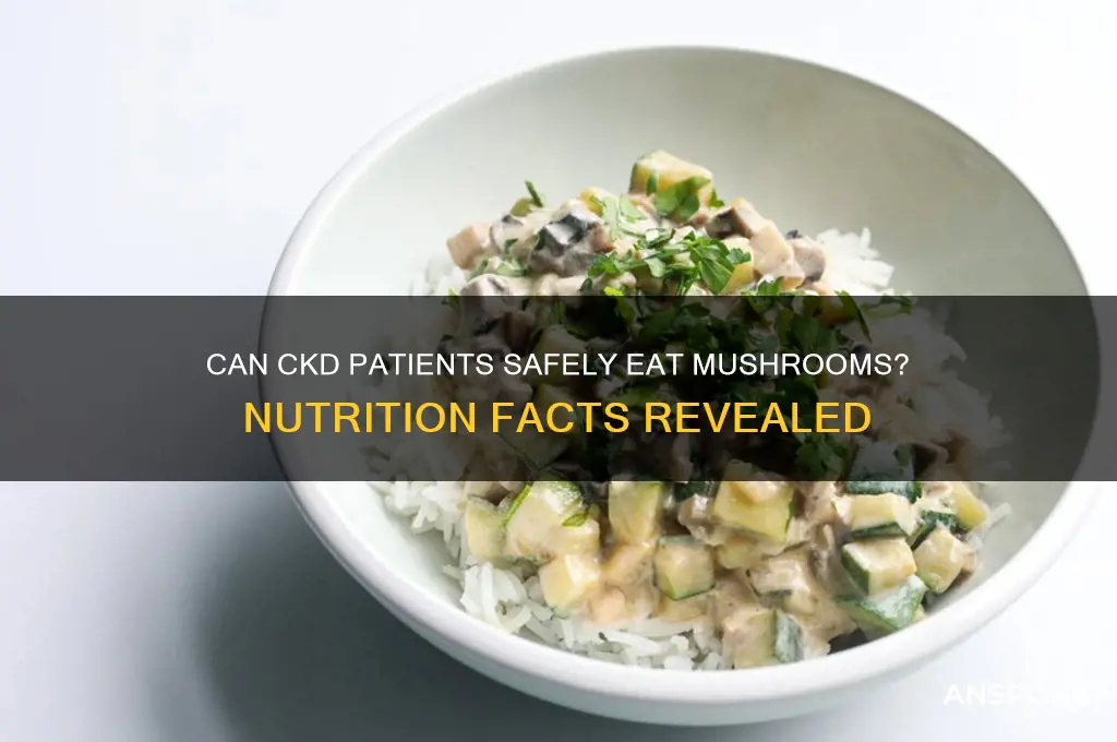 can you eat mushrooms with ckd
