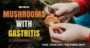 Can You Eat Mushrooms with Gastritis? A Dietary Guide