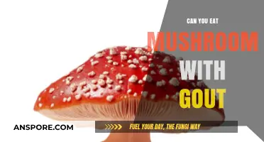 Mushrooms and Gout: Safe to Eat or Trigger Food?