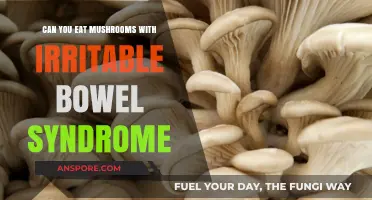 Mushrooms and IBS: Safe to Eat or Trigger Food?