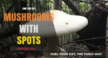 Spotty Mushrooms: Safe to Eat or Toss? Expert Advice