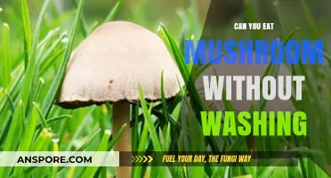 Should You Eat Mushrooms Without Washing? Risks and Best Practices
