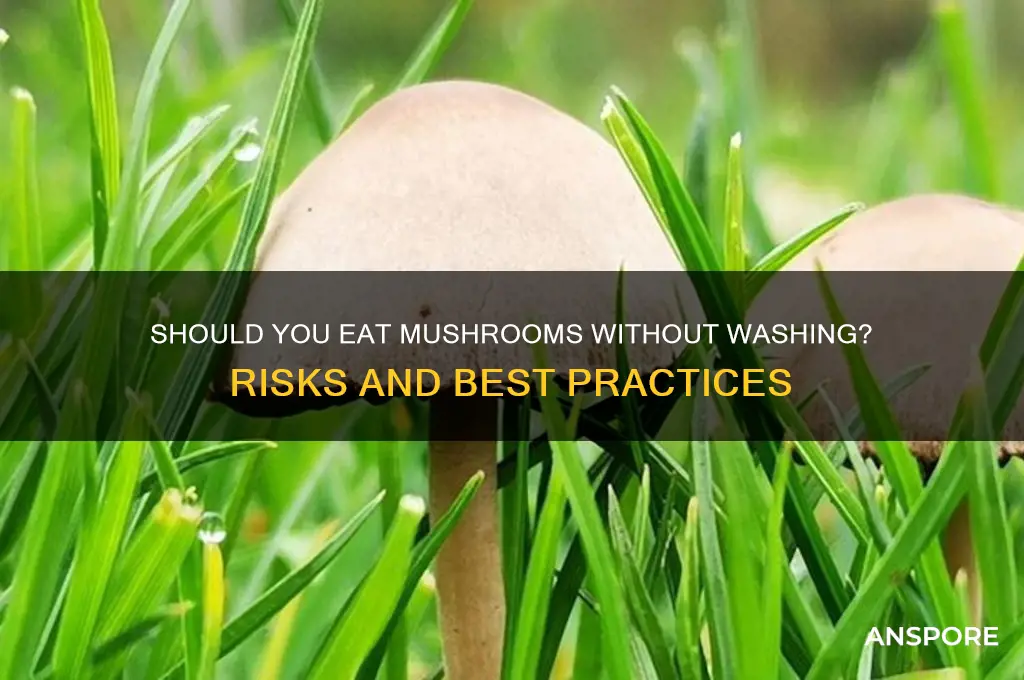 can you eat mushrooms without washing