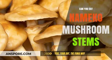 Can You Eat Nameko Mushroom Stems? A Tasty Guide