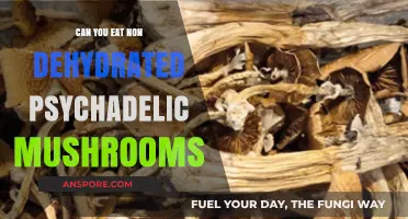 Can You Safely Consume Fresh Psychedelic Mushrooms? Facts Revealed