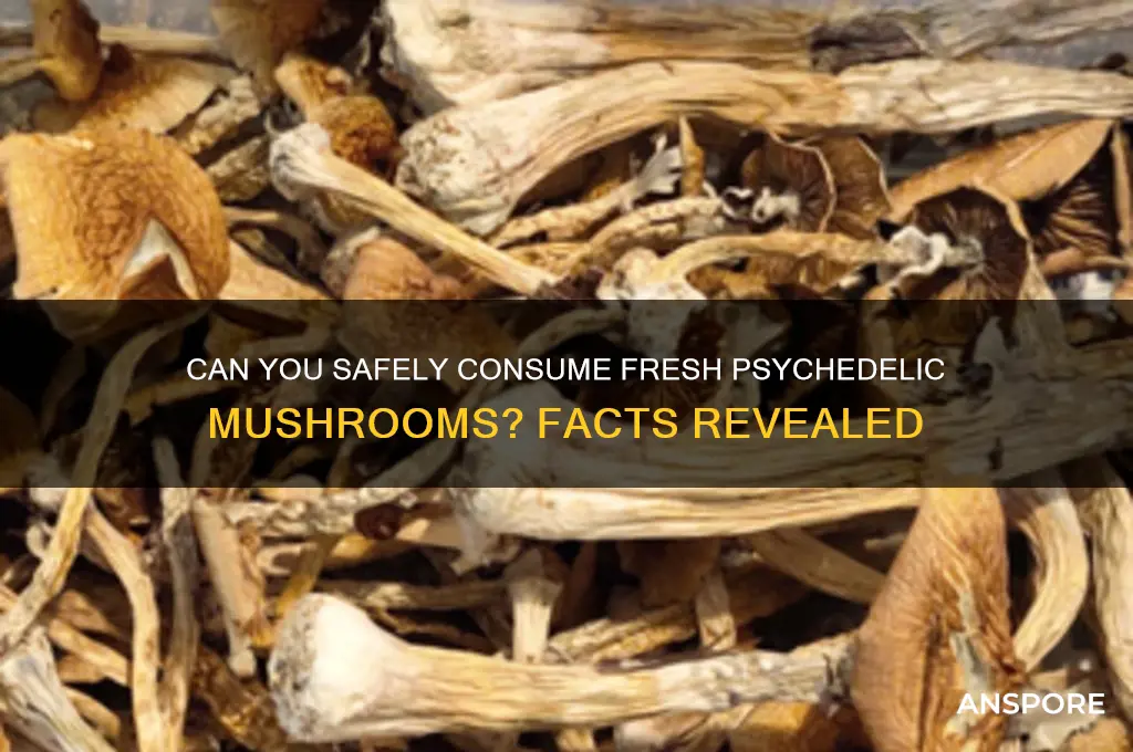 can you eat non dehydrated psychadelic mushrooms