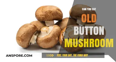 Are Old Button Mushrooms Safe to Eat? A Guide