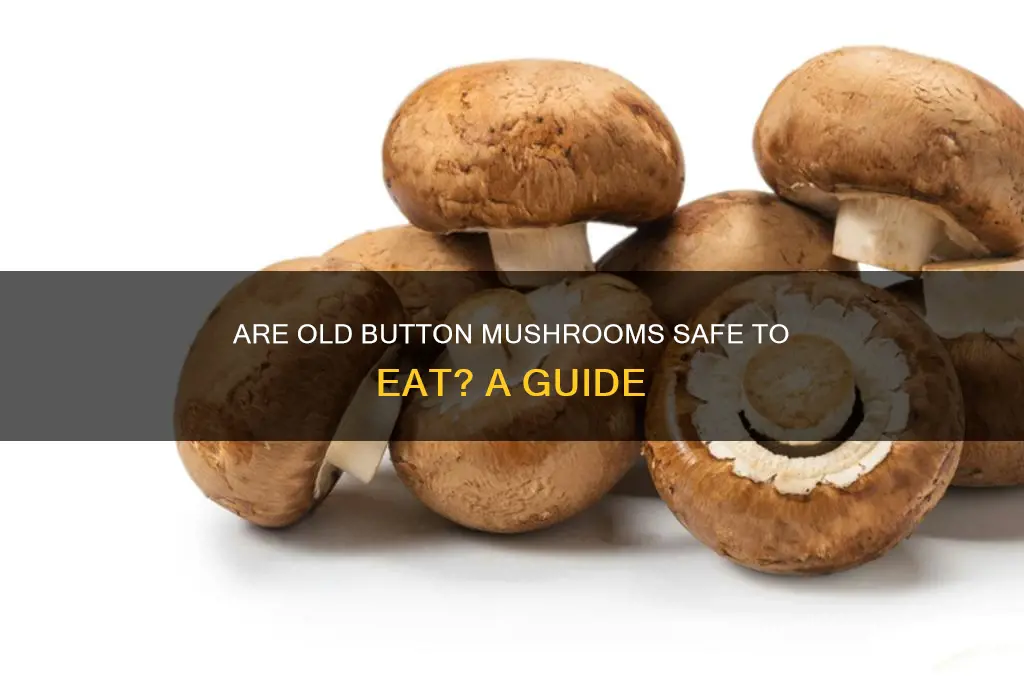 can you eat old button mushrooms