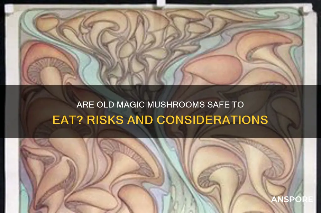 can you eat old magic mushrooms