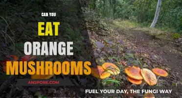 Can You Eat Orange Mushrooms? Safety and Identification Tips