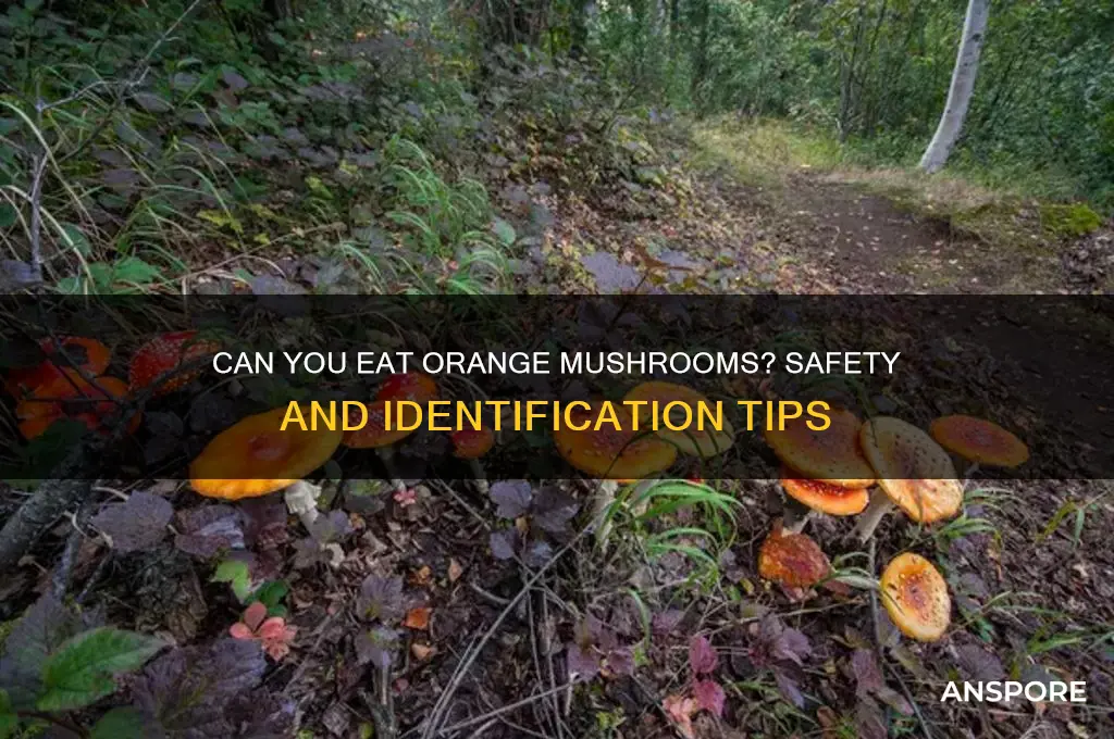 can you eat orange mushrooms