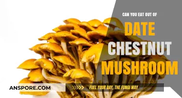 Are Expired Chestnut Mushrooms Safe to Eat? A Guide
