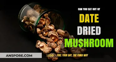 Are Expired Dried Mushrooms Safe to Eat? A Complete Guide