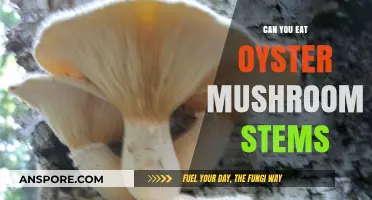 Can You Eat Oyster Mushroom Stems? A Culinary Guide