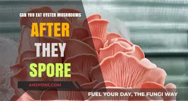 Eating Oyster Mushrooms Post-Spore: Safe or Risky Choice?