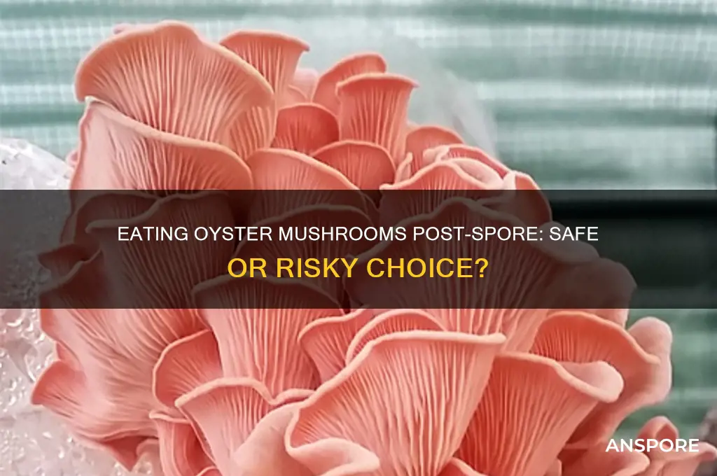 can you eat oyster mushrooms after they spore