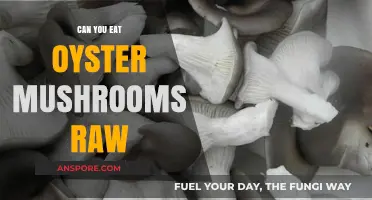 Can You Eat Oyster Mushrooms Raw? Safety and Tips