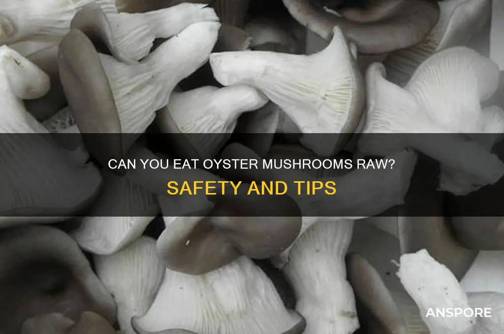 can you eat oyster mushrooms raw