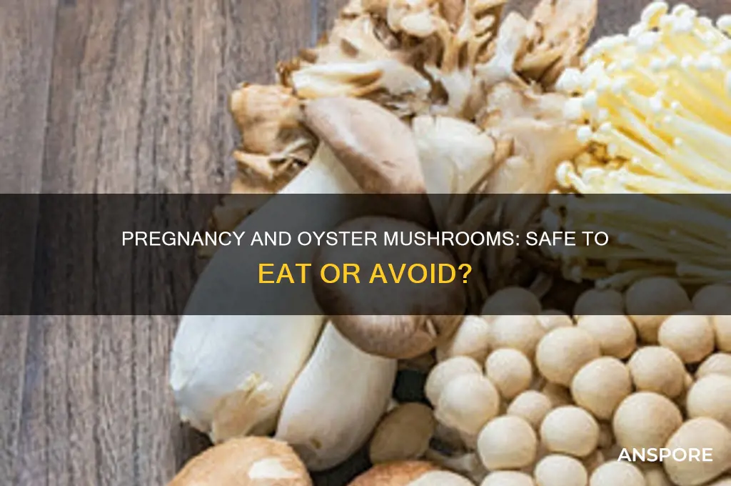 can you eat oyster mushrooms when pregnant