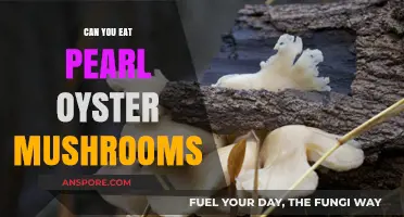 Can You Eat Pearl Oyster Mushrooms? A Tasty Guide