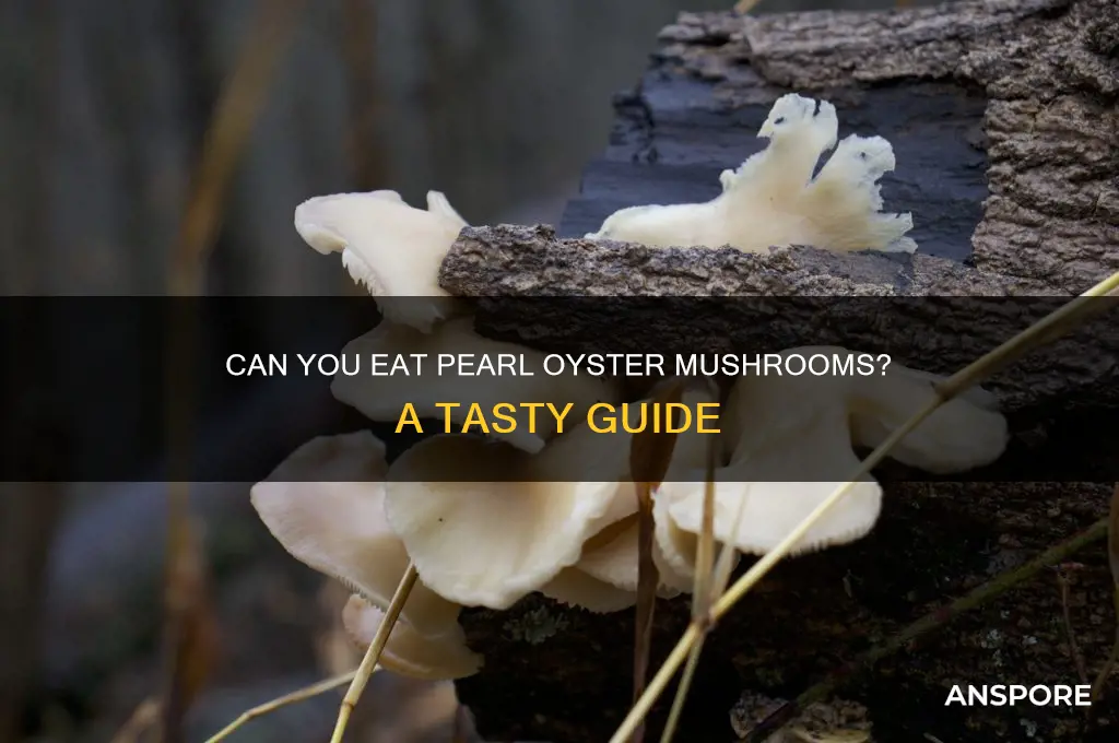 can you eat pearl oyster mushrooms