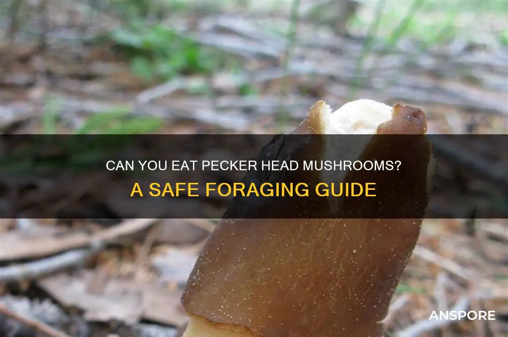 can you eat pecker head mushrooms