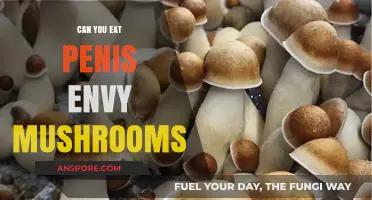 Can You Eat Penis Envy Mushrooms? Risks and Facts Explained