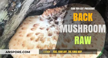 Can You Eat Pheasant Back Mushrooms Raw? Safety Tips Revealed