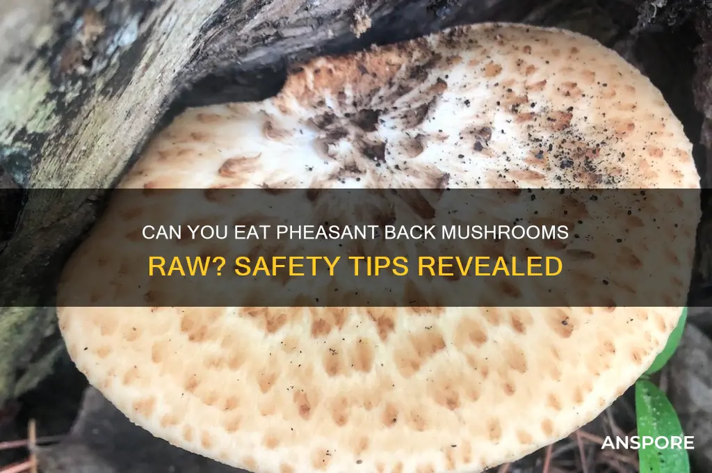 can you eat pheasant back mushrooms raw