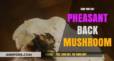 Can You Eat Pheasant Back Mushrooms? A Tasty Guide