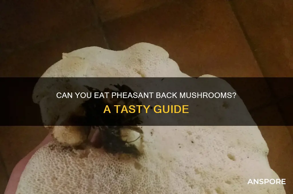 can you eat pheasant back mushrooms