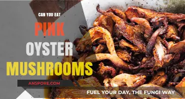 Can You Eat Pink Oyster Mushrooms? A Tasty Guide