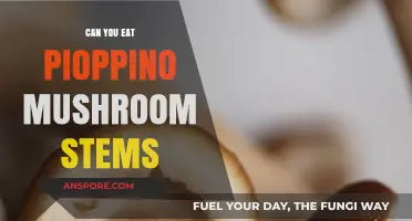 Can You Eat Pioppino Mushroom Stems? A Tasty Guide