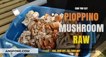 Can You Eat Pioppino Mushrooms Raw? Safety and Tips