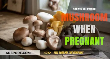 Porcini Mushrooms and Pregnancy: Safe or Risky for Expecting Moms?