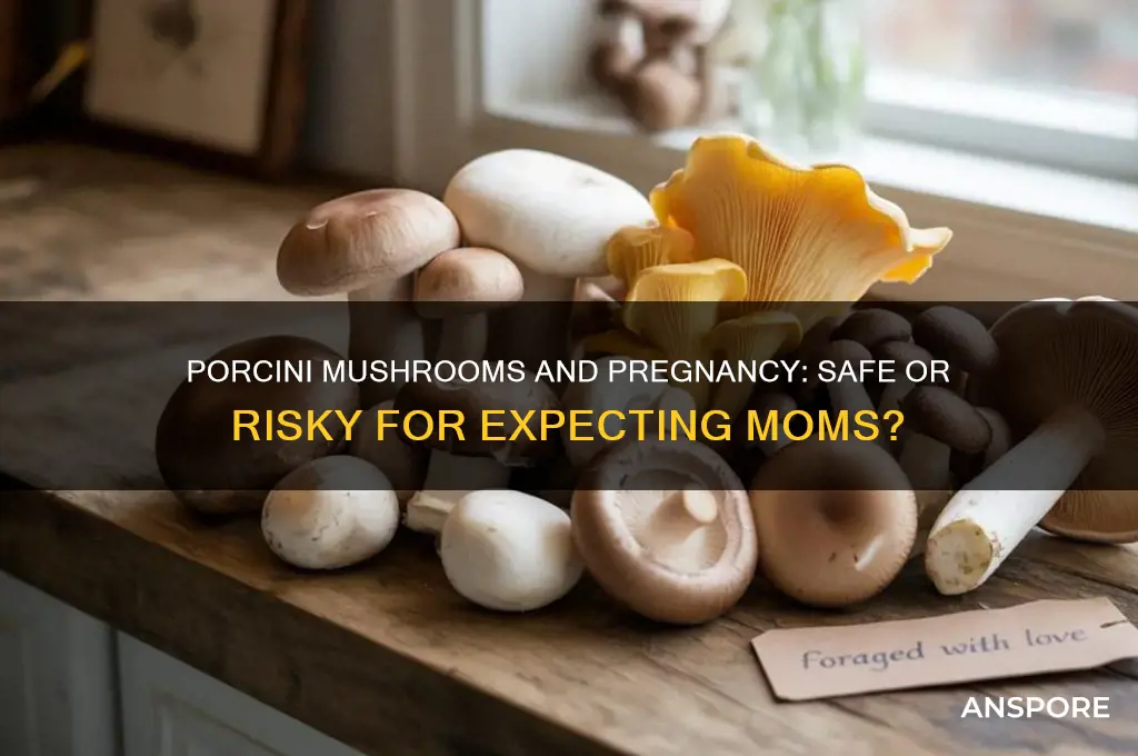 can you eat porcini mushrooms when pregnant