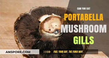 Portabella Mushroom Gills: Safe to Eat or Better Removed?