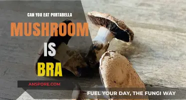 Can You Eat Portabella Mushrooms in a Bra? Surprising Culinary Tips