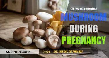 Pregnancy and Portobello Mushrooms: Safe to Eat or Not?