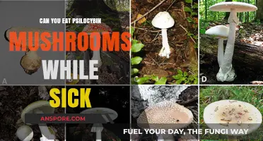 Should You Consume Psilocybin Mushrooms When Feeling Under the Weather?