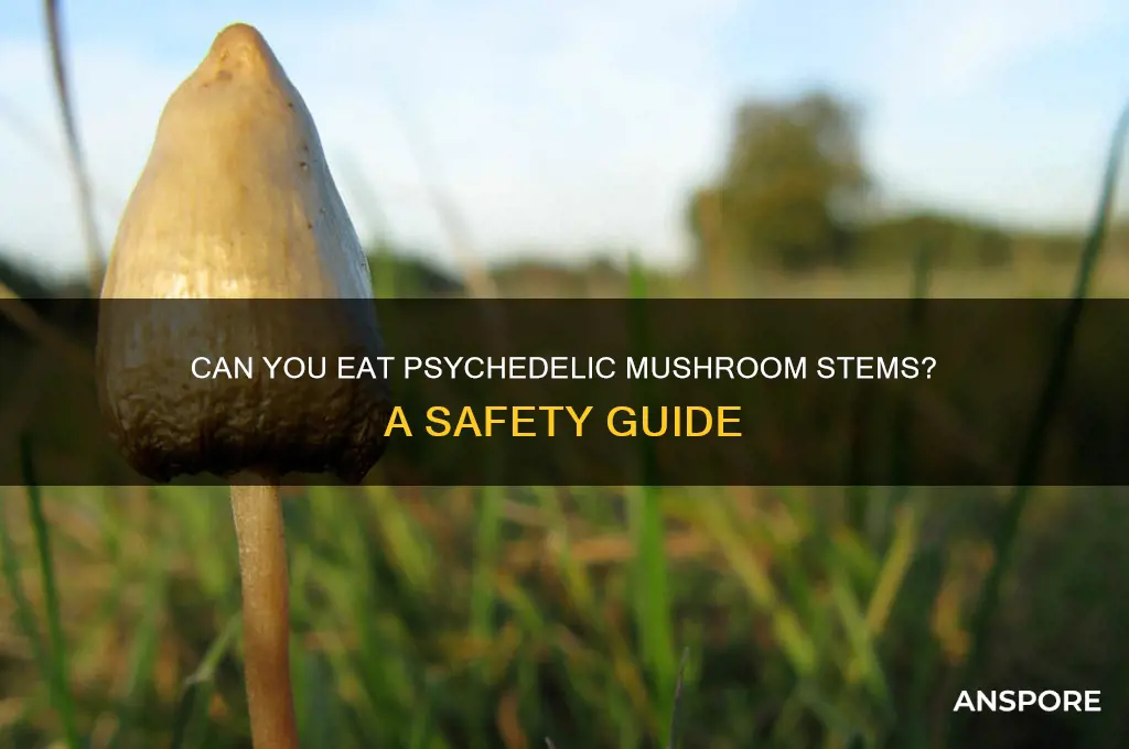 can you eat psychedelic mushroom stems