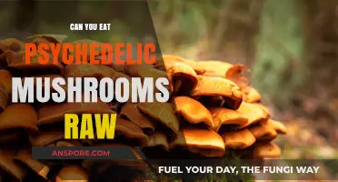 Eating Psychedelic Mushrooms Raw: Risks, Effects, and Safe Consumption Tips