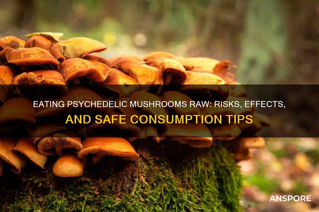 can you eat psychedelic mushrooms raw