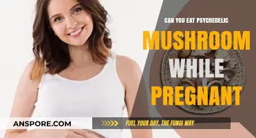 Pregnancy and Psychedelics: Are Magic Mushrooms Safe for Expecting Mothers?