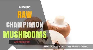 Can You Eat Raw Champignon Mushrooms? Safety and Tips